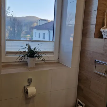 Appartement Gwiazda W Muszynie *
